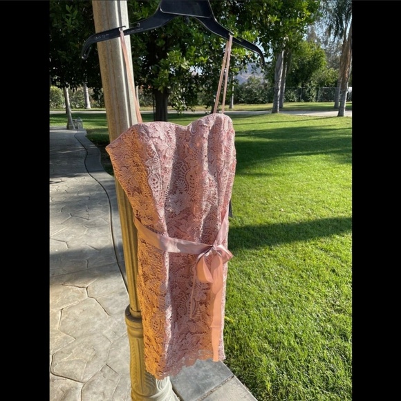 NWT Adrianna Papell‎ Sweetheart Strapless Lace Sheath Dress in Blush [size 4 ] - Picture 2 of 8